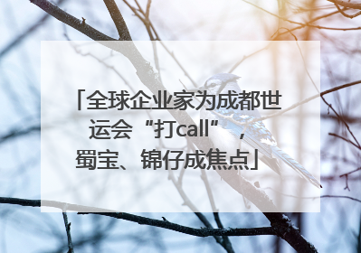 全球企业家为成都世运会“打call”，蜀宝、锦仔成焦点