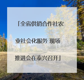 全省供销合作社农业社会化服务 现场推进会在泰兴召开