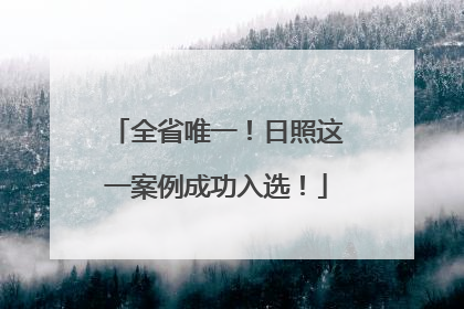 全省唯一！日照这一案例成功入选！