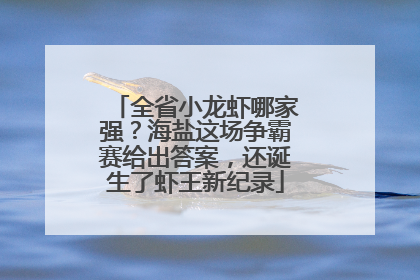 全省小龙虾哪家强？海盐这场争霸赛给出答案，还诞生了虾王新纪录