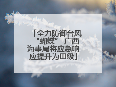 全力防御台风“蝴蝶” 广西海事局将应急响应提升为Ⅲ级