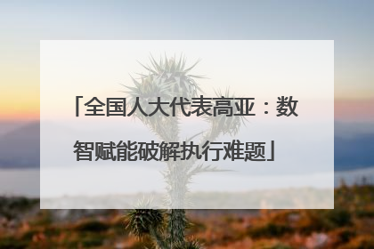 全国人大代表高亚：数智赋能破解执行难题