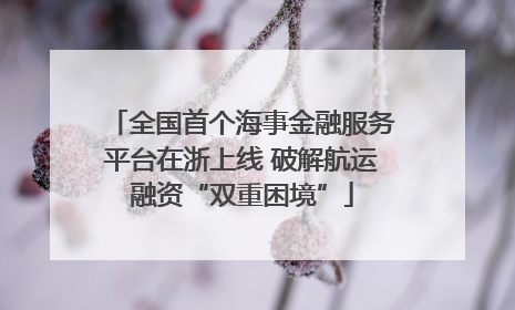 全国首个海事金融服务平台在浙上线 破解航运融资“双重困境”