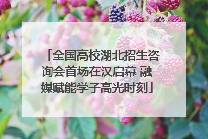 全国高校湖北招生咨询会首场在汉启幕 融媒赋能学子高光时刻