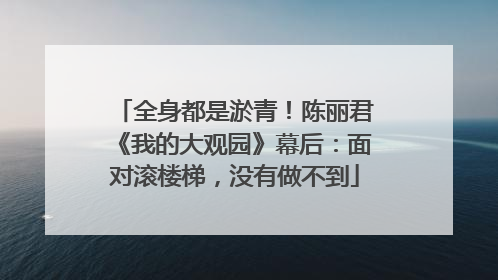 全身都是淤青！陈丽君《我的大观园》幕后：面对滚楼梯，没有做不到