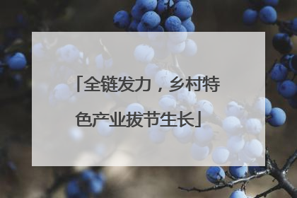全链发力，乡村特色产业拔节生长
