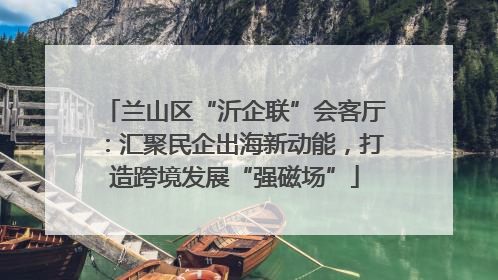 兰山区“沂企联”会客厅：汇聚民企出海新动能，打造跨境发展“强磁场”
