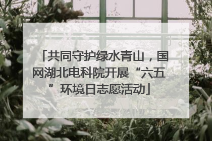 共同守护绿水青山，国网湖北电科院开展“六五”环境日志愿活动
