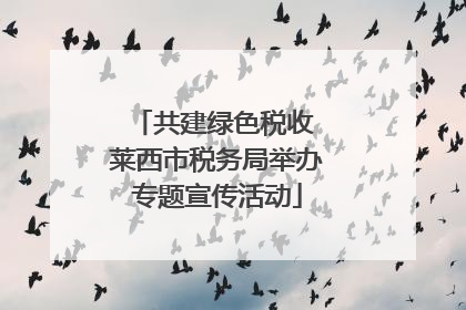 共建绿色税收 莱西市税务局举办专题宣传活动