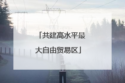 共建高水平最大自由贸易区