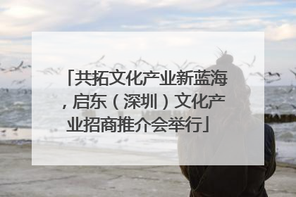 共拓文化产业新蓝海，启东（深圳）文化产业招商推介会举行