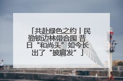 共赴绿色之约丨民勤锁边林带合围 昔日“和尚头”如今长出了“披肩发”