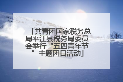 共青团国家税务总局平江县税务局委员会举行“五四青年节”主题团日活动