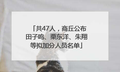 共47人，商丘公布田子鸣、栗东洋、朱翔等拟加分人员名单