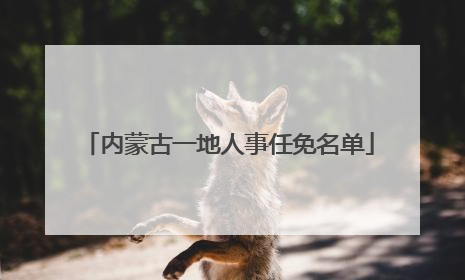 内蒙古一地人事任免名单