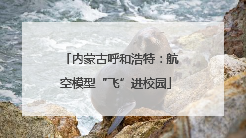 内蒙古呼和浩特：航空模型“飞”进校园