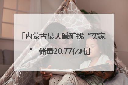 内蒙古最大碱矿找“买家” 储量20.77亿吨