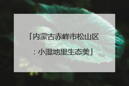 内蒙古赤峰市松山区：小湿地里生态美