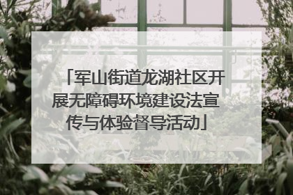 军山街道龙湖社区开展无障碍环境建设法宣传与体验督导活动