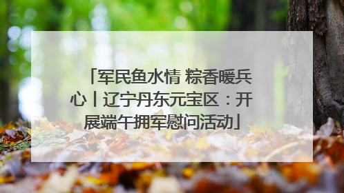 军民鱼水情 粽香暖兵心丨辽宁丹东元宝区：开展端午拥军慰问活动