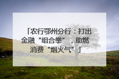 农行鄂州分行：打出金融“组合拳”，助燃消费“烟火气”