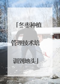 冬枣种植管理技术培训到地头