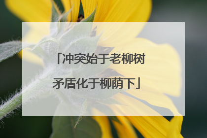 冲突始于老柳树 矛盾化于柳荫下
