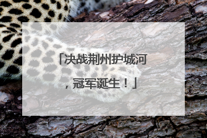 决战荆州护城河，冠军诞生！