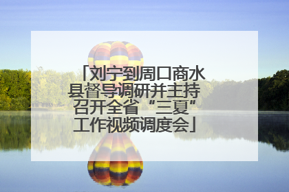 刘宁到周口商水县督导调研并主持召开全省“三夏”工作视频调度会