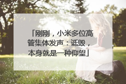 刚刚，小米多位高管集体发声：诋毁，本身就是一种仰望