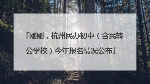 刚刚，杭州民办初中（含民转公学校）今年报名情况公布