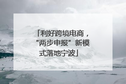 利好跨境电商，“两步申报”新模式落地宁波