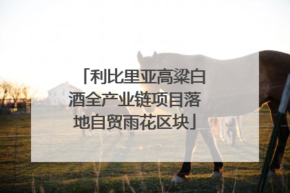 利比里亚高粱白酒全产业链项目落地自贸雨花区块