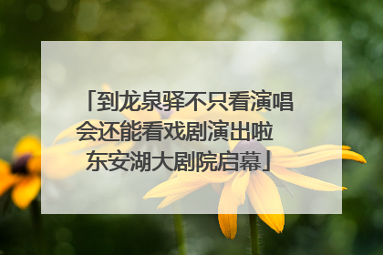 到龙泉驿不只看演唱会还能看戏剧演出啦 东安湖大剧院启幕