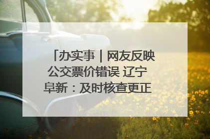 办实事｜网友反映公交票价错误 辽宁阜新：及时核查更正 加强实时巡检