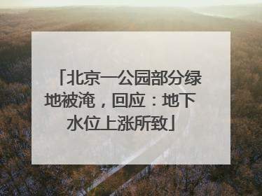 北京一公园部分绿地被淹，回应：地下水位上涨所致