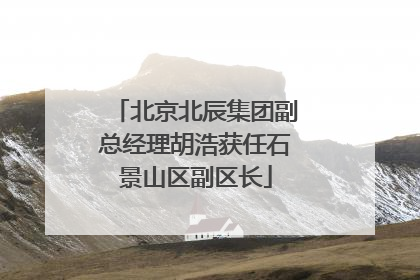 北京北辰集团副总经理胡浩获任石景山区副区长