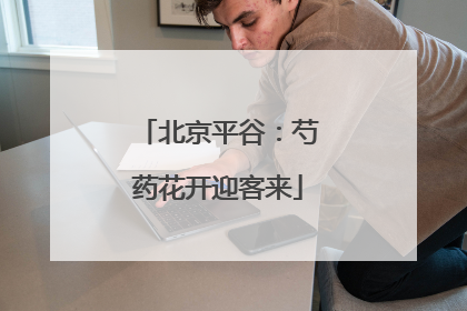 北京平谷：芍药花开迎客来