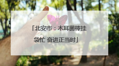 北安市：木耳菌棒挂袋忙 奋进正当时