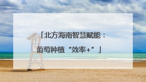 北方海南智慧赋能：葡萄种植“效率+”