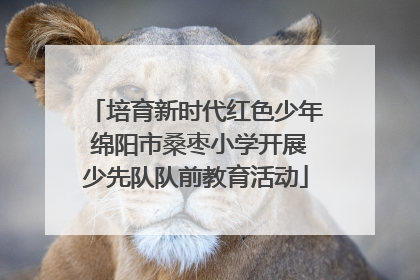 培育新时代红色少年 绵阳市桑枣小学开展少先队队前教育活动