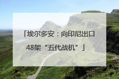 埃尔多安：向印尼出口48架“五代战机”