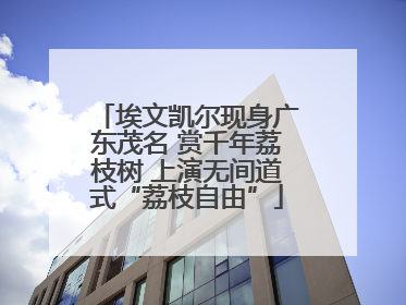 埃文凯尔现身广东茂名 赏千年荔枝树 上演无间道式“荔枝自由”