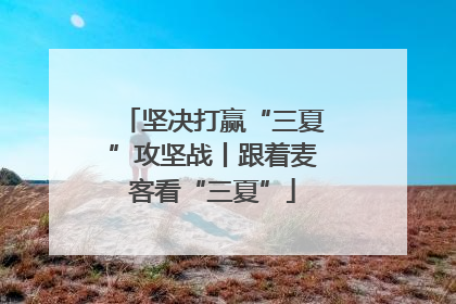 坚决打赢“三夏”攻坚战丨跟着麦客看“三夏”