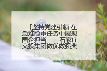 坚持党建引领 在急难险重任务中展现国企担当——石家庄交投集团做优做强典型报道之一