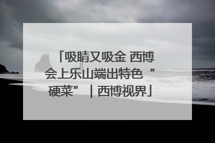 吸睛又吸金 西博会上乐山端出特色“硬菜”｜西博视界