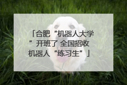 合肥“机器人大学”开班了 全国招收机器人“练习生”