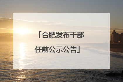 合肥发布干部任前公示公告