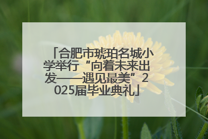 合肥市琥珀名城小学举行“向着未来出发——遇见最美”2025届毕业典礼