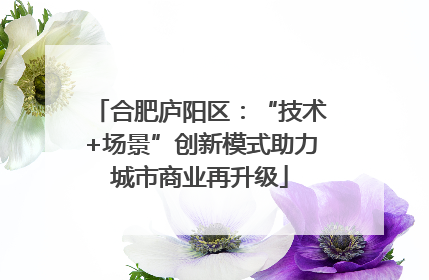 合肥庐阳区：“技术+场景”创新模式助力城市商业再升级
